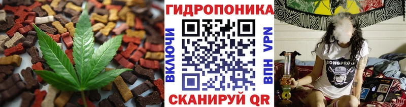 Canna-Cookies марихуана  Купить  Мариинск 