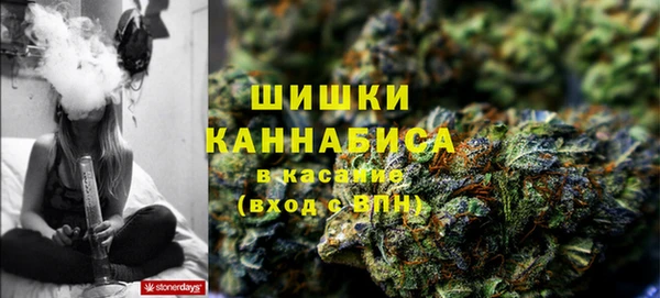 синтетический гашиш Заводоуковск