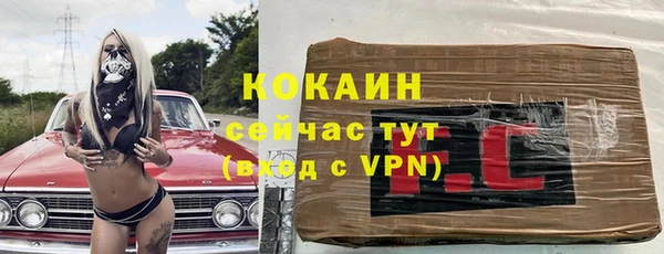 синтетический гашиш Заводоуковск