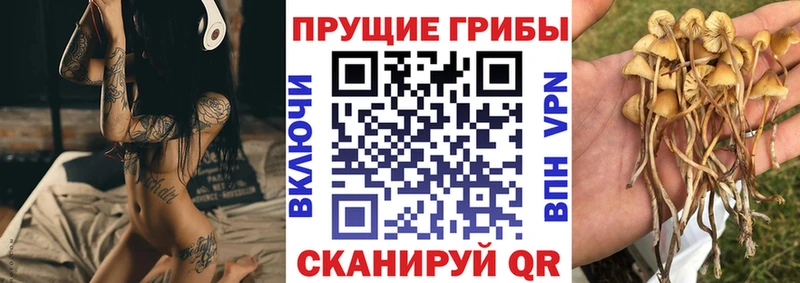 Галлюциногенные грибы мухоморы Мариинск